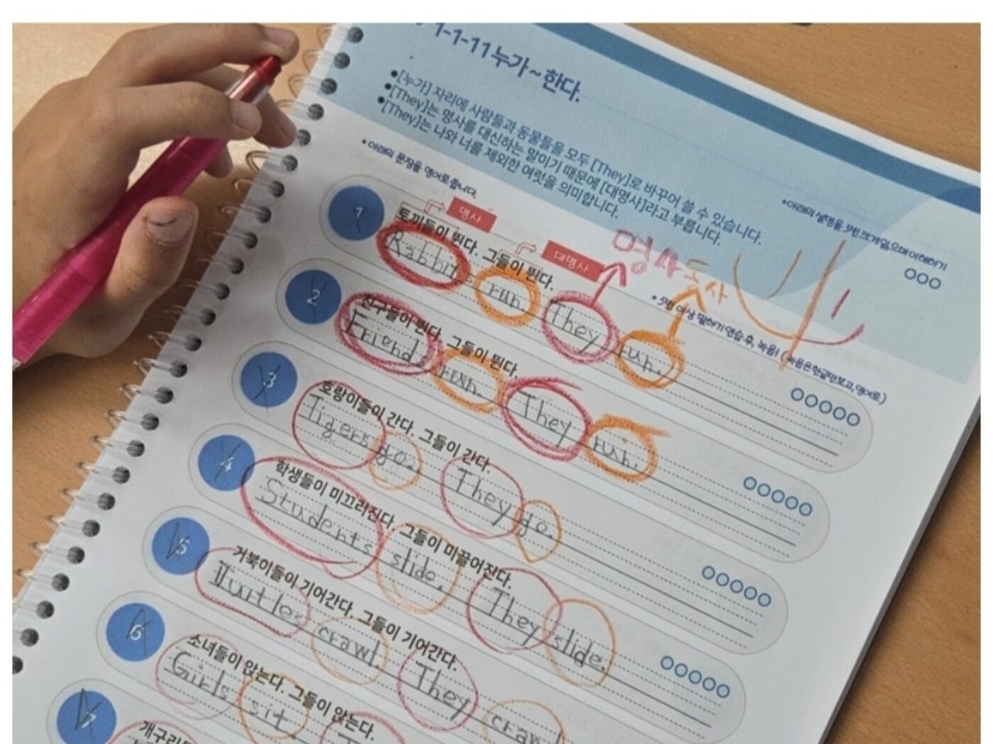 명사와 동사의 자리를 색으로 표시하며 문장 구조를 확인하는 실제 수업 모습